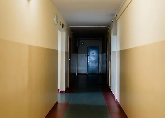 Winogrady Stylish By Bookinghost *