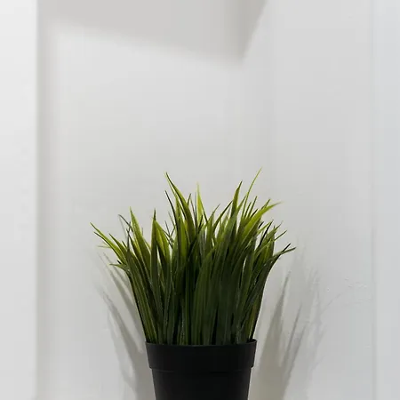 Winogrady Stylish By Bookinghost