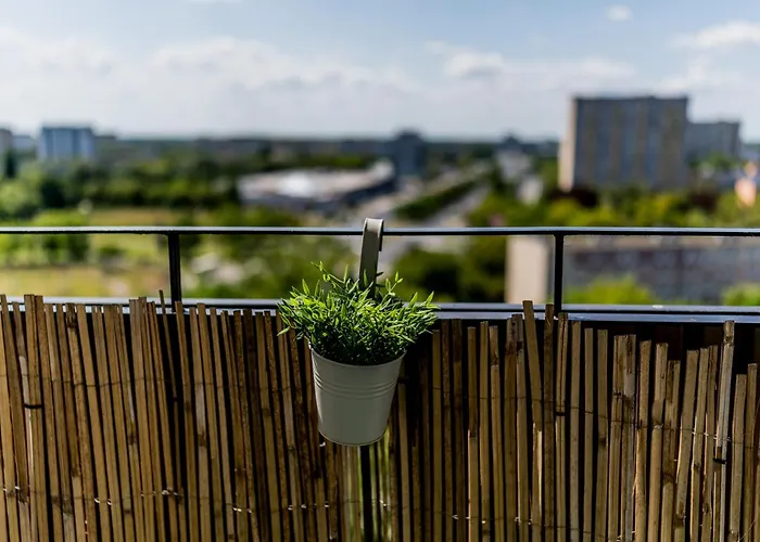 Winogrady Stylish By Bookinghost