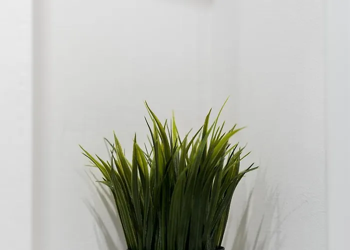 Winogrady Stylish By Bookinghost